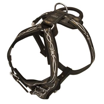 Agitation Training Leather Mastiff Harness