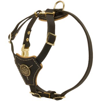 Walking Training Leather Puppy Harness for Mastiff