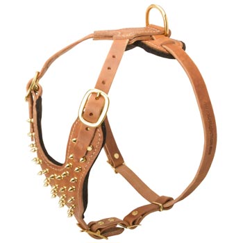 Walking Leather Harness for Mastiff