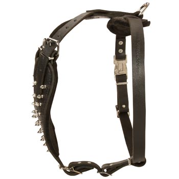 Adjustable Leather Harness for Mastiff