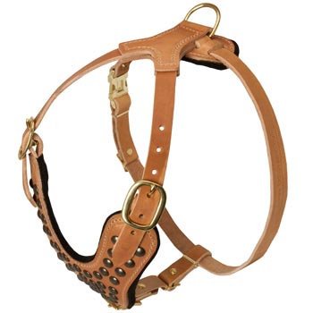 Studded Tan Leather Mastiff Harness