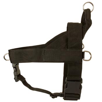 Mastiff Harness Nylon for Comfy Walking