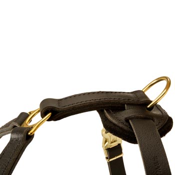 Corrosion Resistant D-ring of Mastiff Harness