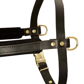 Training Pulling Mastiff Harness with Sewn-In Side D-Rings