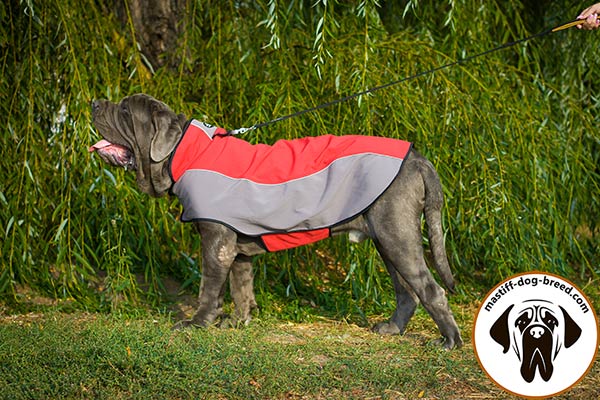 Nylon Mastino Napoletano jacket harness for any activities in cold weather 
