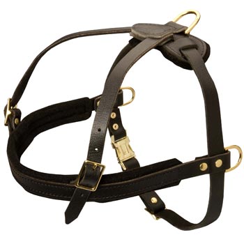 Leather Mastiff Harness for Dog Off Leash Training