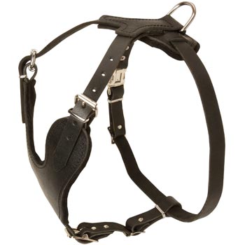 Mastiff Harness for Off-Leash Training