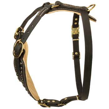 Custom Made Dog Harness for Mastiff