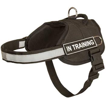 Nylon Mastiff Harness Multifunctional All-Weather Practical