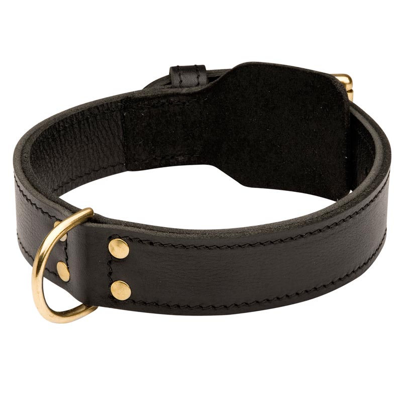 Training 2 Ply Leather Mastiff Collar