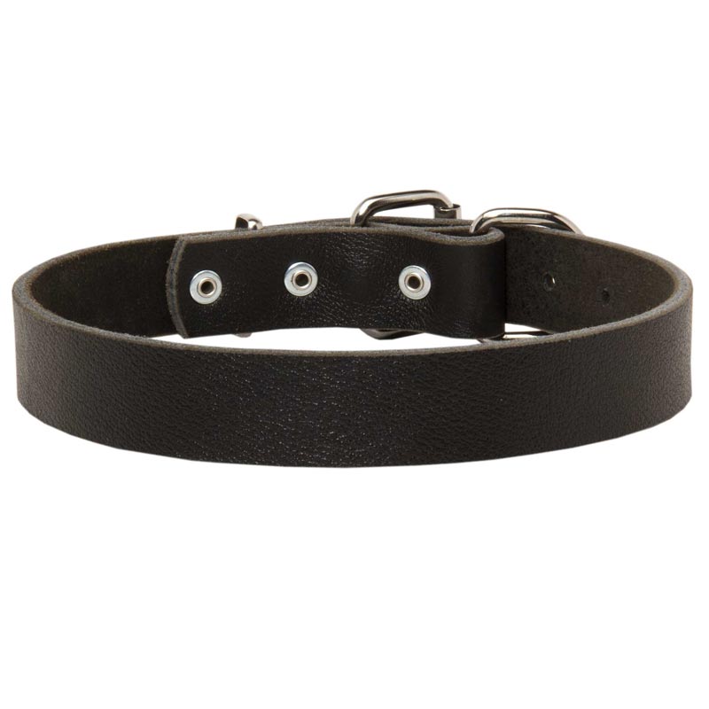 Mastiff Leather Dog Collar For Pleasant Wearing