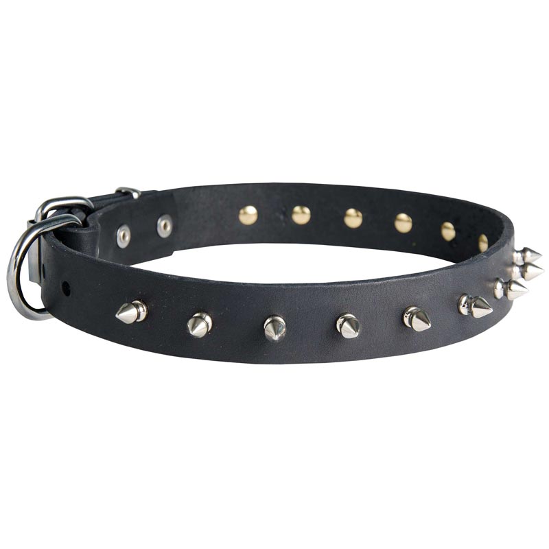 Mastiff Leather Collar Spiked 30 mm