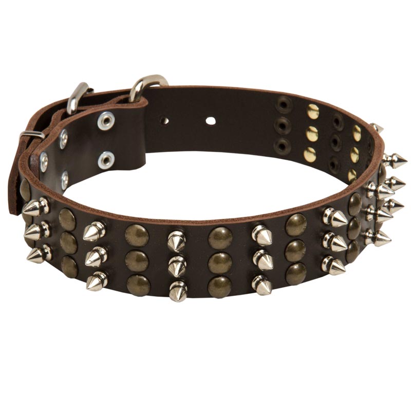 Mastiff Spikes and Studs Rows Leather Dog Collar