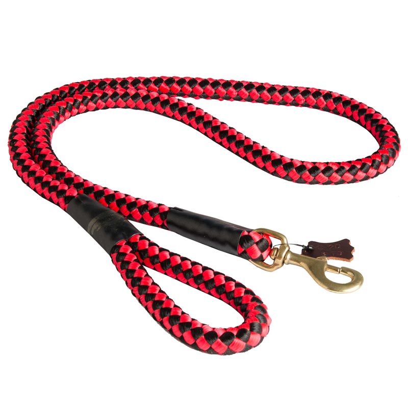 Nylon Cord Mastiff Leash for Walking and Training