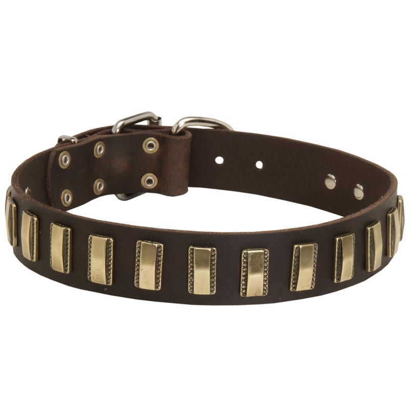 Leather Mastiff Collar with Awesome Brass Plates