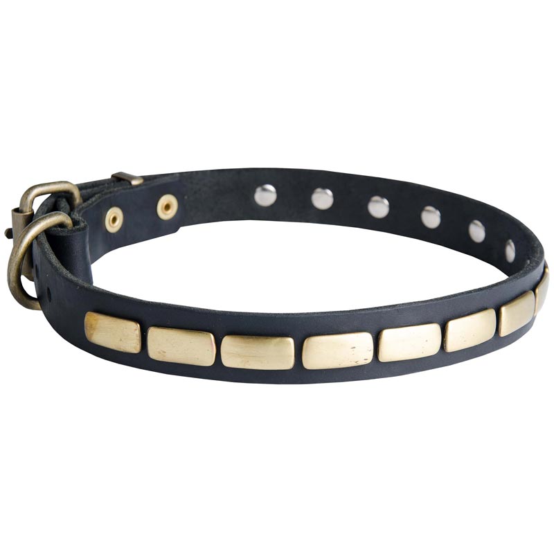 Mastiff Leather Collar Brass Plates 25 mm - Click Image to Close
