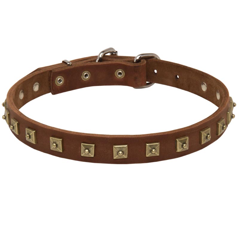 Handcrafted 1 Row Square Studded Leather Mastiff Collar