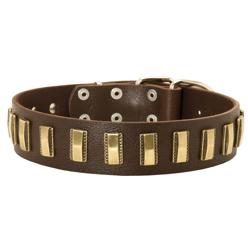 Mastiff Leather Collar with Shiny Plates