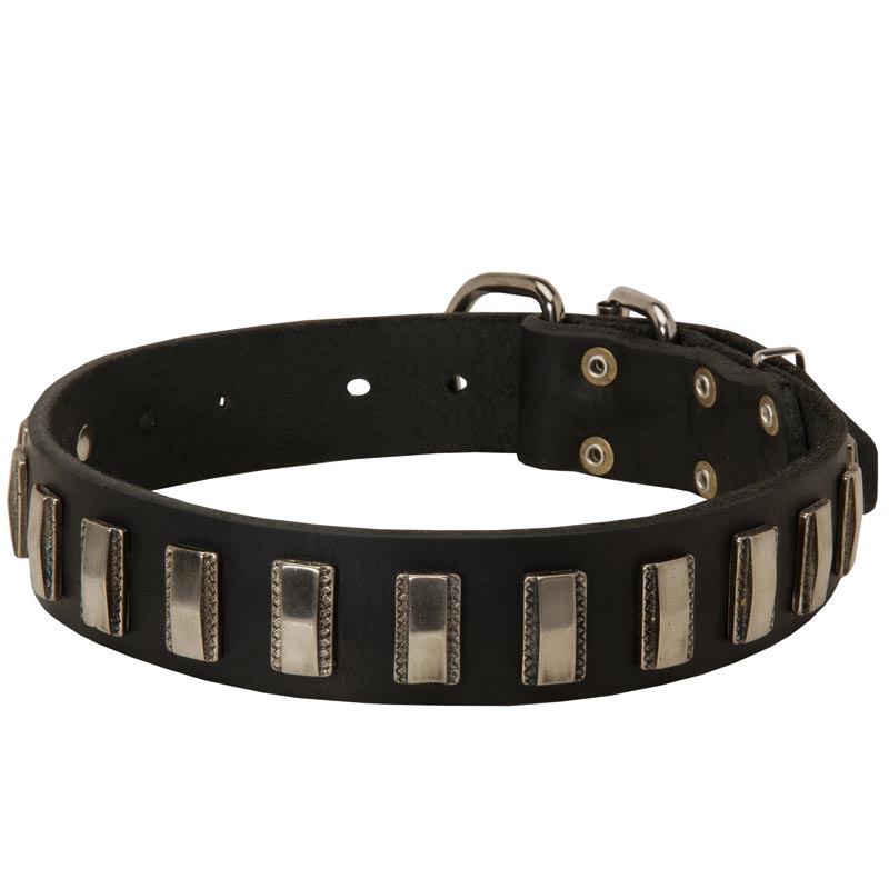 Mastiff Leather Collar with Shiny Plates
