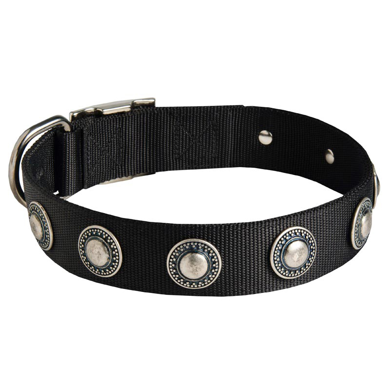 Mastiff Nylon Dog Collar with Circles Decoration