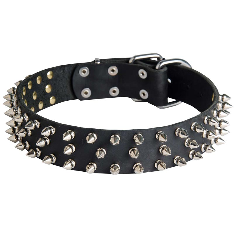 Leather Mastiff Collar with 3 Rows of Nickel Spikes