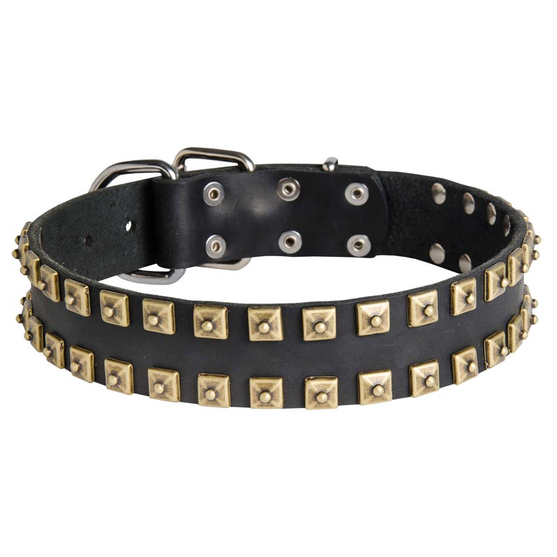 2 Rows Brass Studded Leather Mastiff Collar for Walking and Training