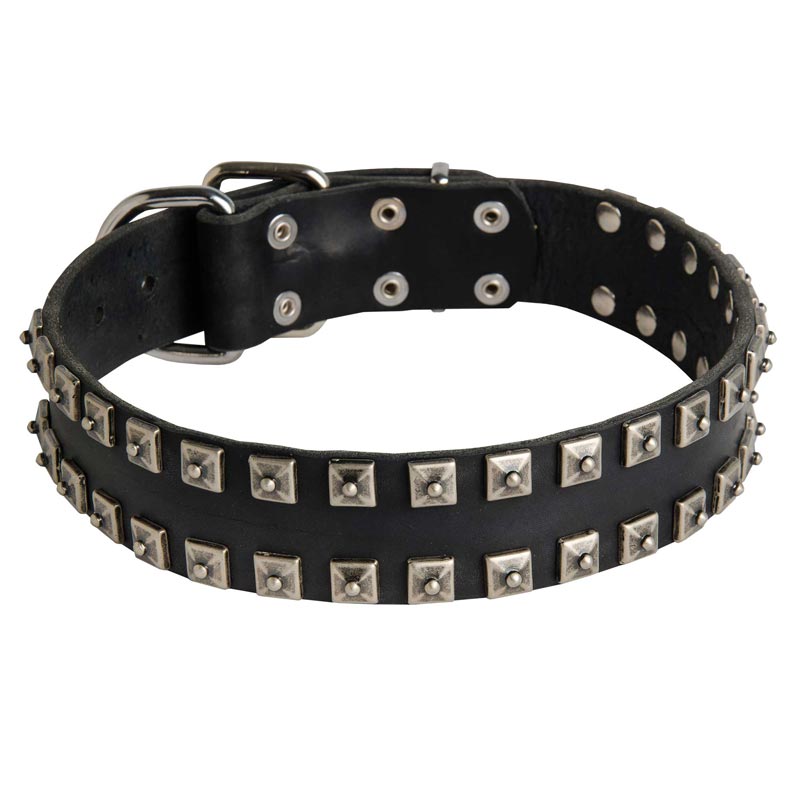 New Leather Mastiff Collar - Fashion Exclusive Design - "Caterpillar"