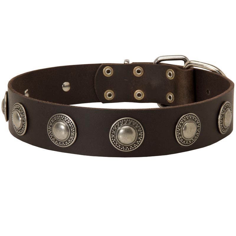 Leather Mastiff Collar Decorated with Silver Conchos