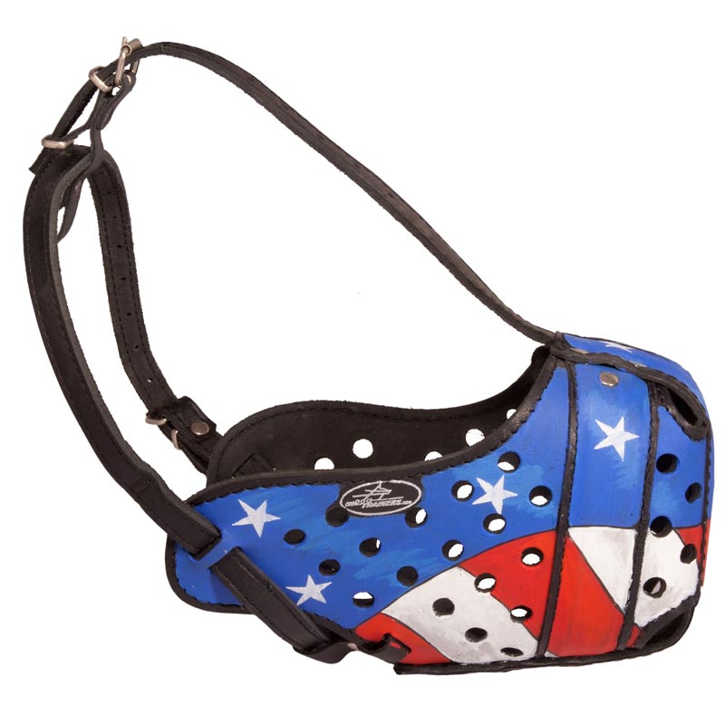 American Pride Painted Leather Mastiff Muzzle for Protection Training