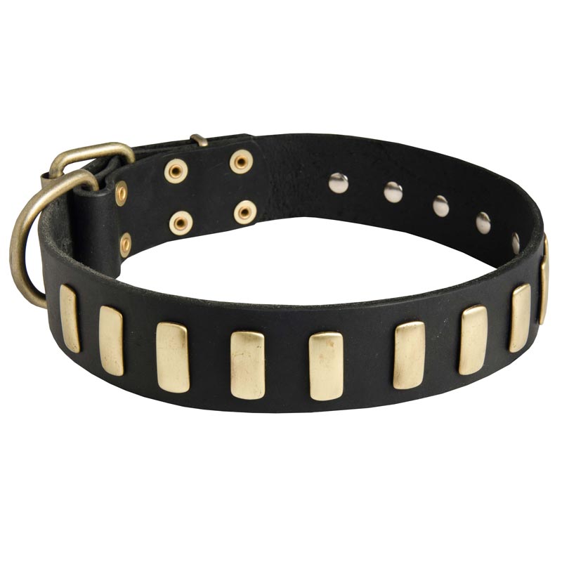 Fancy Leather Mastiff Collar with Brass Plates