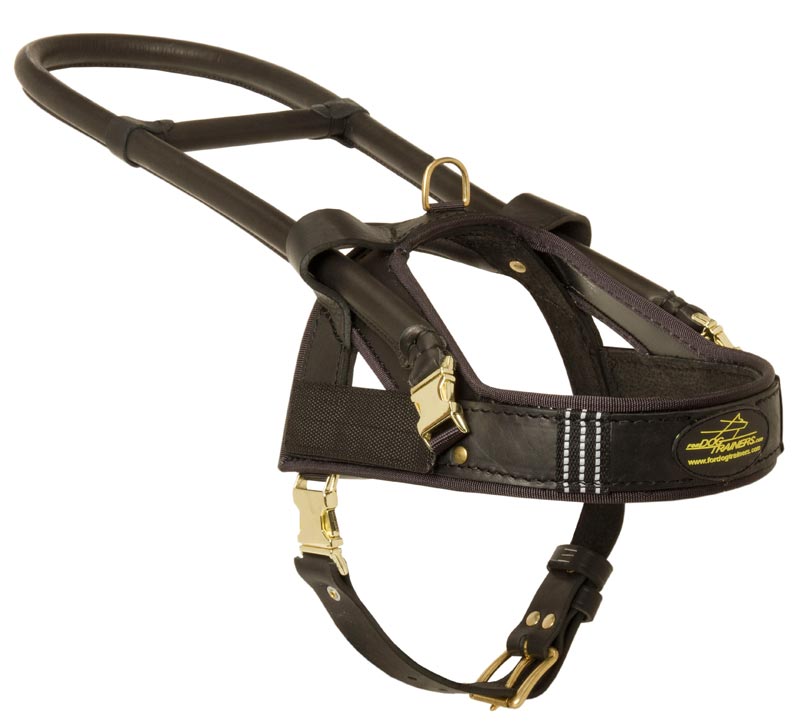 Guide and Assistance Leather Mastiff Harness
