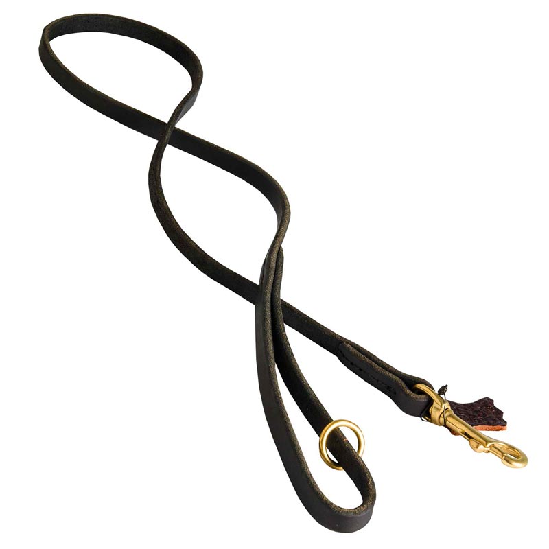 Handcrafted Leather Mastiff Leash for Walking and Tracking