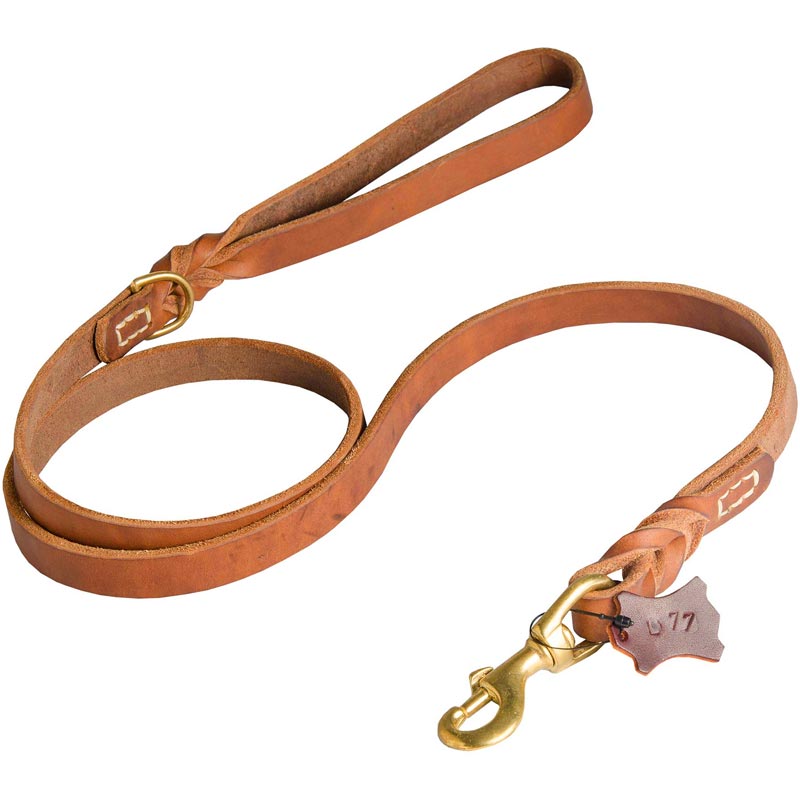 Walking and Training Leather Mastiff Leash with Comfy Handle