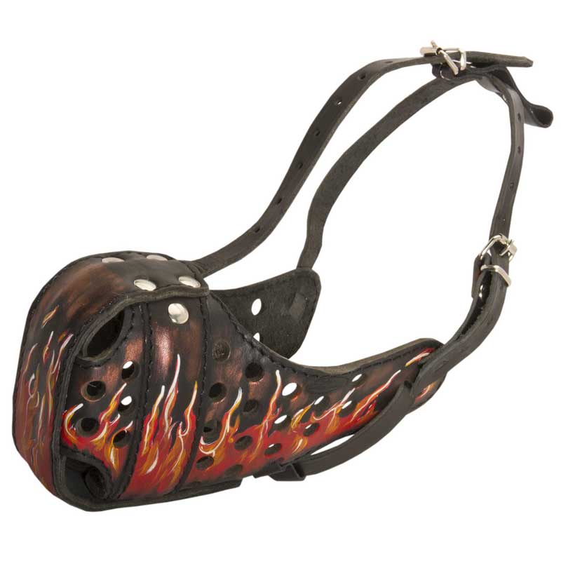Burning Fire Hand Painted Leather Mastiff Muzzle for Attack Training