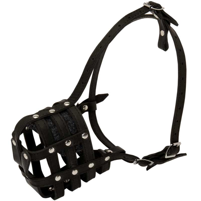 Walking and Training Leather Cage Mastiff Muzzle
