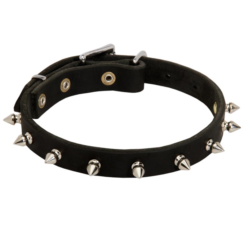 Mastiff Leather Collar Spiked 3/4 Inch