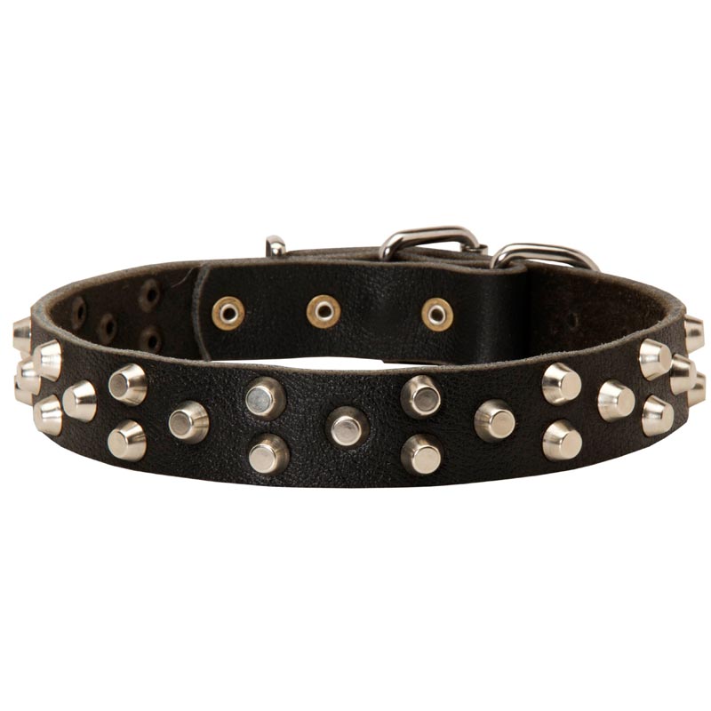Fancy Design Leather Mastiff Collar with Nickel Pyramids