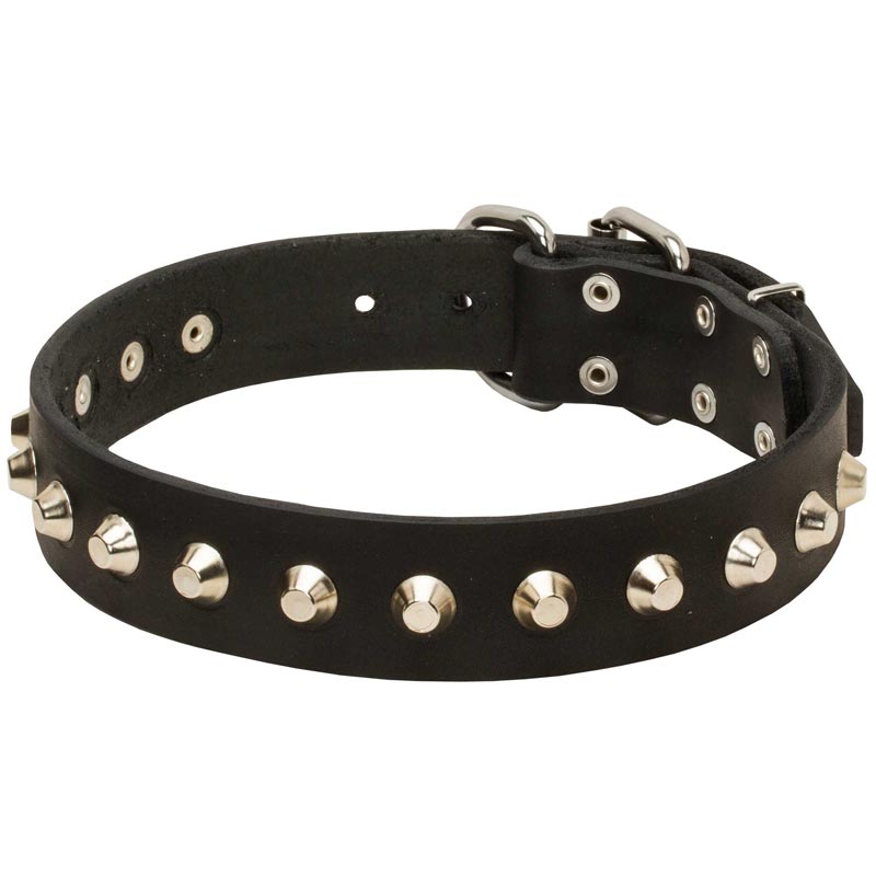 Gorgeous Wide Leather Mastiff Collar - Fashion Exclusive Design