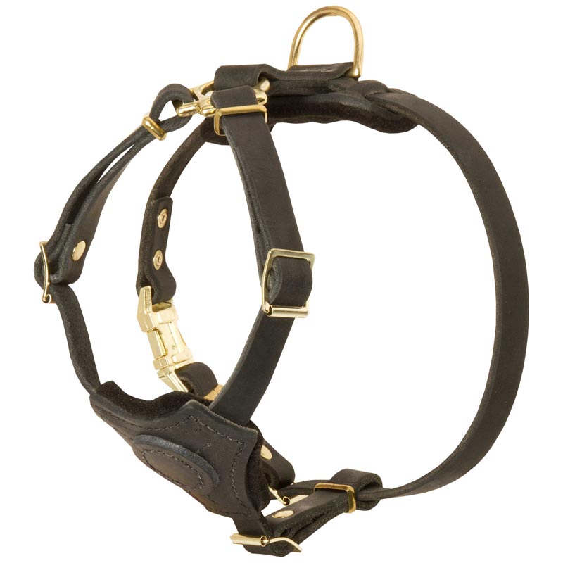 Strong Leather Mastiff Harness With Small Chest Plate