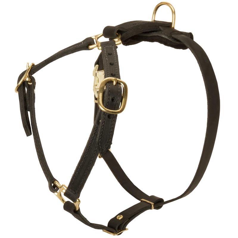 Y-Shaped Leather Mastiff Harness for Tracking and Training