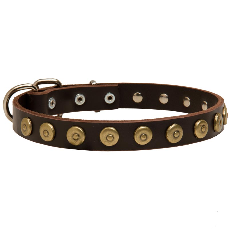 Leather Mastiff Collar with Brass Dotted Circles for Fashion Walking - Click Image to Close