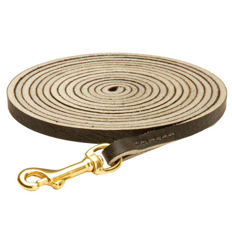 Long Leather Mastiff Leash for Tracking, Training and Walking - Click Image to Close