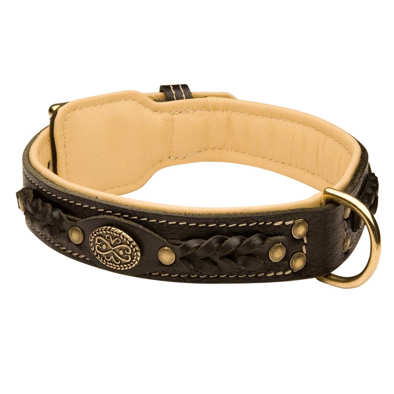 Mastiff Leather Collar Braided