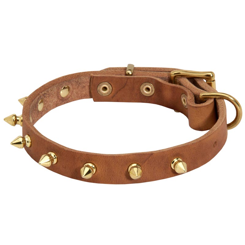 Walking Designer Leather Mastiff Collar with Brass Spikes