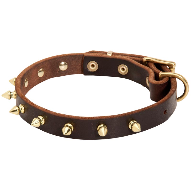 Walking Designer Leather Mastiff Collar with Brass Spikes