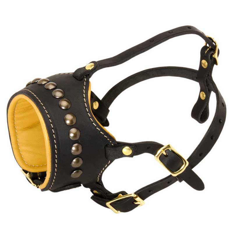 Open Nose Studded Leather Mastiff Muzzle With Nappa Padding