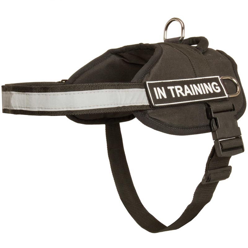 Nylon Mastiff Harness with Reflective Strap for Training, Walking, Police Service, SAR and More