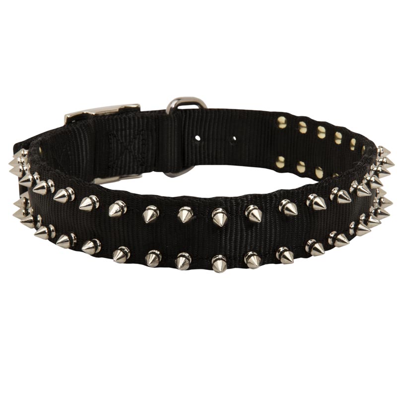 Mastiff Nylon Collar Spiked