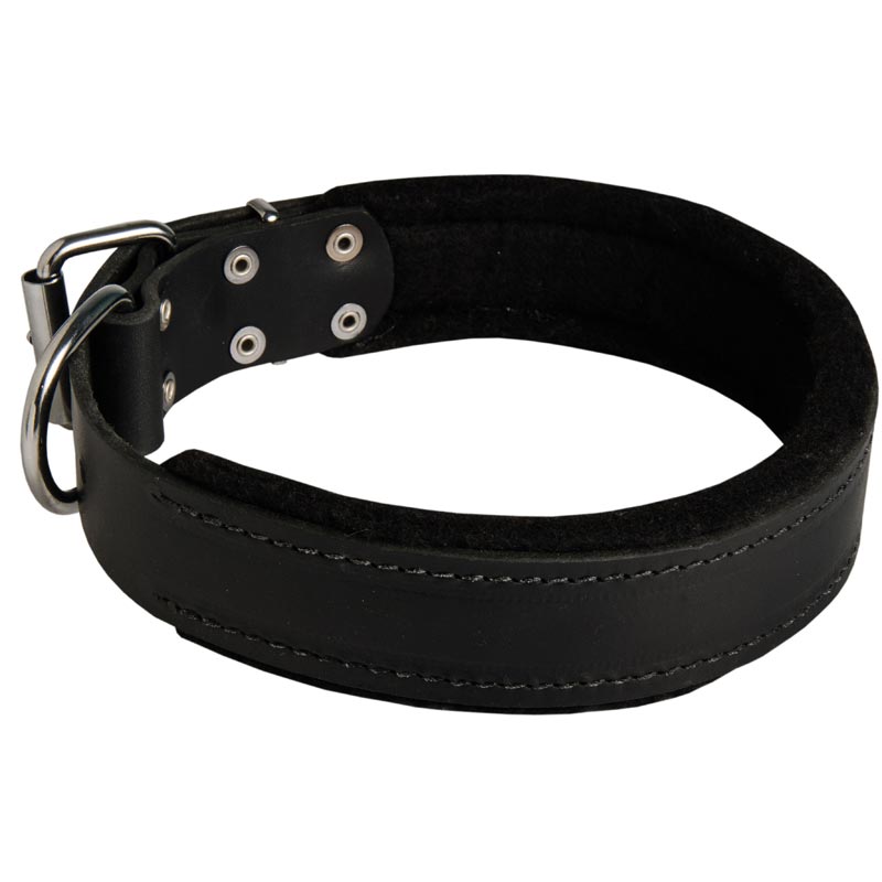 Mastiff Durable Padded Leather Collar 40 mm