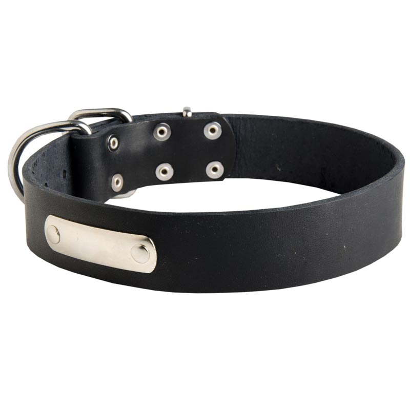 Classic Leather Mastiff Collar with Identification Tag